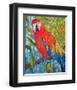 Marvelous Macaw-null-Framed Art Print