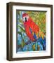 Marvelous Macaw-null-Framed Art Print