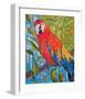 Marvelous Macaw-null-Framed Art Print