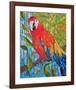 Marvelous Macaw-null-Framed Art Print