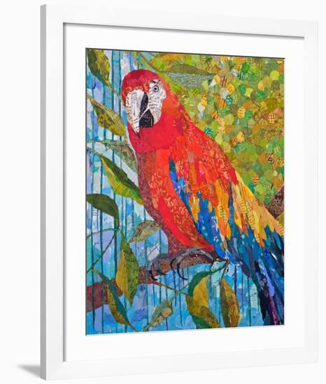 Marvelous Macaw-null-Framed Art Print