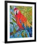 Marvelous Macaw-null-Framed Art Print