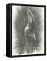 Marvelous, Simply Marvelous-Barbara Keith-Framed Stretched Canvas