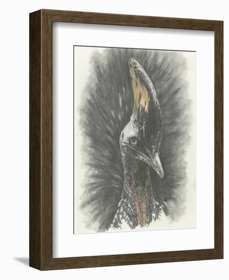 Marvelous, Simply Marvelous-Barbara Keith-Framed Giclee Print