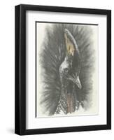 Marvelous, Simply Marvelous-Barbara Keith-Framed Giclee Print