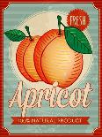 Vintage Styled Apricot-Marvid-Framed Art Print