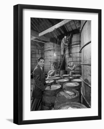 Marvin Sands and His Wife Operating their Own Laboratory for Wine Making-null-Framed Premium Photographic Print