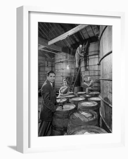 Marvin Sands and His Wife Operating their Own Laboratory for Wine Making-null-Framed Photographic Print