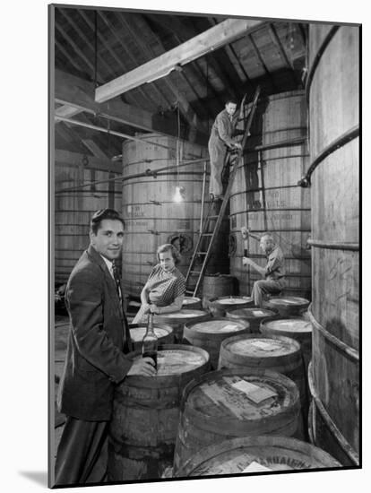 Marvin Sands and His Wife Operating their Own Laboratory for Wine Making-null-Mounted Photographic Print