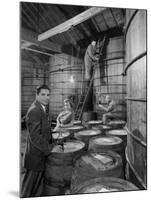 Marvin Sands and His Wife Operating their Own Laboratory for Wine Making-null-Mounted Photographic Print