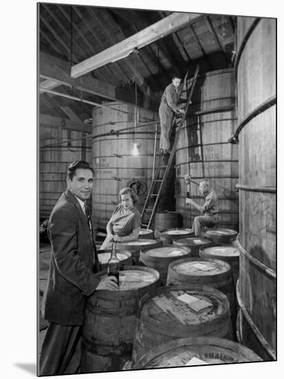 Marvin Sands and His Wife Operating their Own Laboratory for Wine Making-null-Mounted Photographic Print