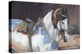 Marwari Horse II-Jennifer Wright-Stretched Canvas