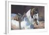 Marwari Horse II-Jennifer Wright-Framed Giclee Print