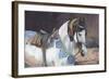 Marwari Horse II-Jennifer Wright-Framed Giclee Print