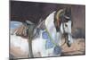 Marwari Horse II-Jennifer Wright-Mounted Giclee Print