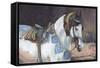 Marwari Horse II-Jennifer Wright-Framed Stretched Canvas