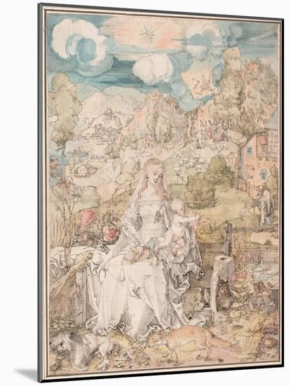 Mary Among a Multitude of Animals, Ca 1503-Albrecht Dürer-Mounted Giclee Print