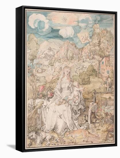 Mary Among a Multitude of Animals, Ca 1503-Albrecht Dürer-Framed Stretched Canvas