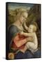 Mary and Child, about 1465-Fra Filippo Lippi-Framed Stretched Canvas