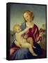 Mary and the Infant Christ (Madonna Colonna), about 1508-Raphael-Framed Stretched Canvas