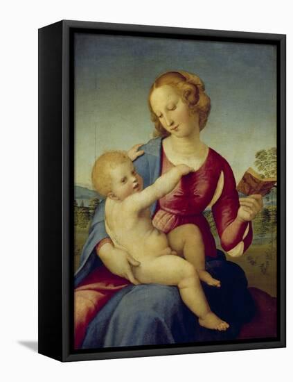Mary and the Infant Christ (Madonna Colonna), about 1508-Raphael-Framed Stretched Canvas