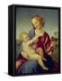 Mary and the Infant Christ (Madonna Colonna), about 1508-Raphael-Framed Stretched Canvas