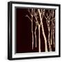 Black Frame