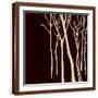 Brown Frame