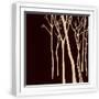 White Frame