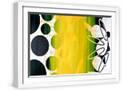 White Frame