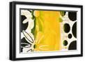 Black Frame