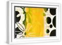 White Frame