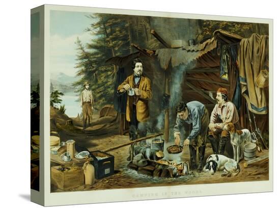 Stretched Canvas Print, , large