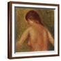 Brown Frame