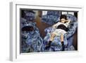 White Frame