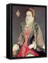 Mary Denton, Nee Martyn, Aged 15 in 1573-George Gower-Framed Stretched Canvas