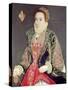 Mary Denton, Nee Martyn, Aged 15 in 1573-George Gower-Stretched Canvas