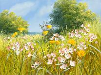 Sunlit Meadow-Mary Dipnall-Art Print