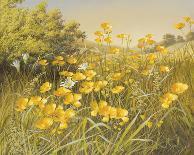 Meadow Gold-Mary Dipnall-Giclee Print
