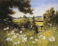 Sunlit Meadow-Mary Dipnall-Art Print