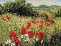 A Meadow In Spring-Mary Dipnall-Giclee Print