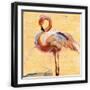 Black Frame