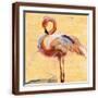 Brown Frame
