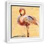 White Frame