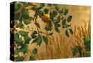 Stretched Canvas