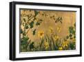 Black Frame
