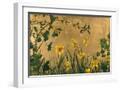 White Frame