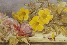 A Still Life of Roses and Other Flowers on a Ledge-Mary Elizabeth Duffield-Stretched Canvas