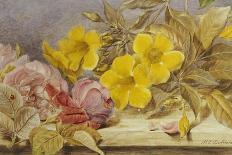 A Still Life of Roses and Other Flowers on a Ledge-Mary Elizabeth Duffield-Framed Stretched Canvas
