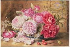 A Still Life of Roses and Other Flowers on a Ledge-Mary Elizabeth Duffield-Stretched Canvas